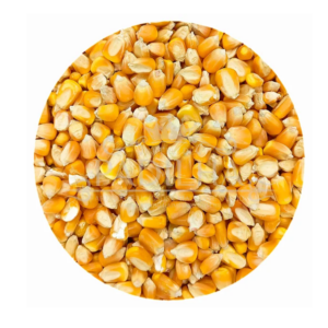 Grão Milho De Galinha Amarelo 500G A Granel