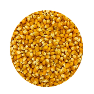 Grão Milho De Pipoca Amarelo 500G A Granel
