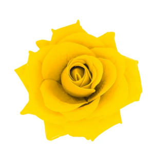 Presilha Rosa Amarela Flor De Cabelo Para Baiana Juremeira E Cigana
