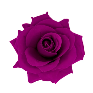 Presilha Rosa Flor Roxa De Cabelo Para Pombagira E Cigana