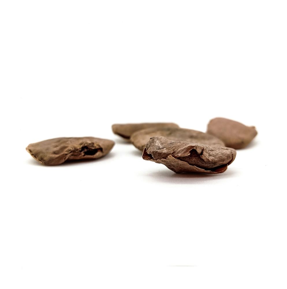 Fava Abere Semente Ritualística - Imagem 2