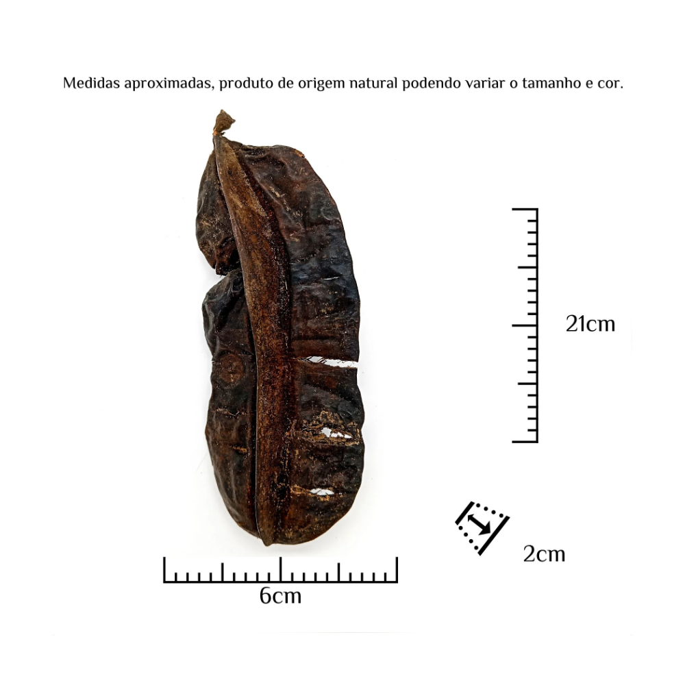 Fava Aridan Semente Aridã Ritualística - Imagem 3