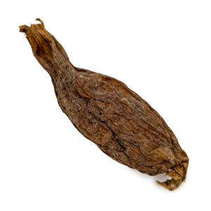 Fava Atare Semente Ritualística