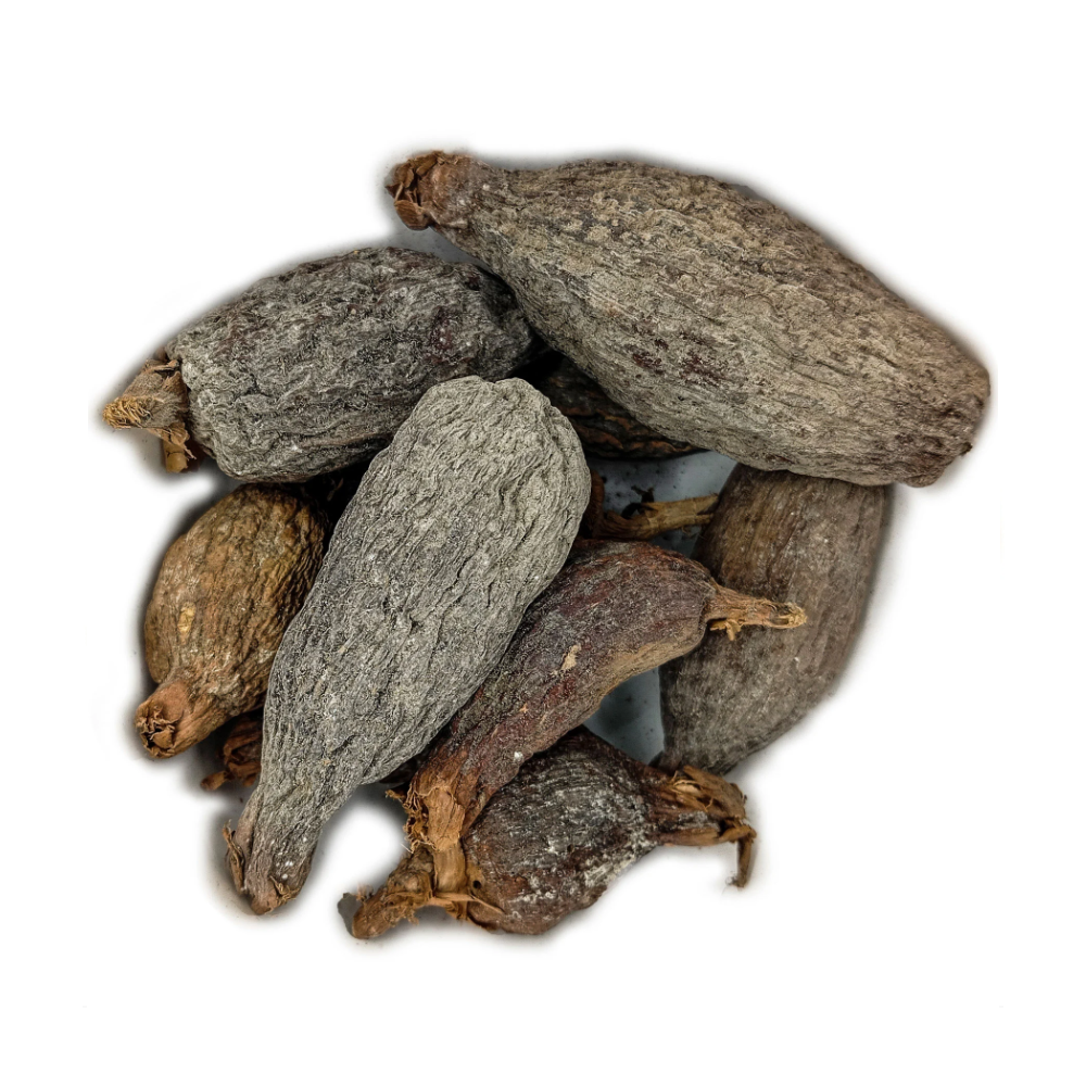 Fava Atare Semente Ritualística - Imagem 2