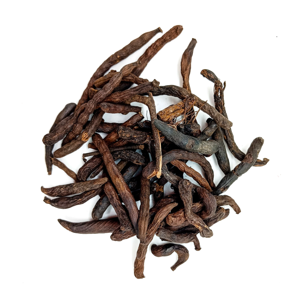 Fava Bejerecum Africano Semente Ritualística 20G - Imagem 2