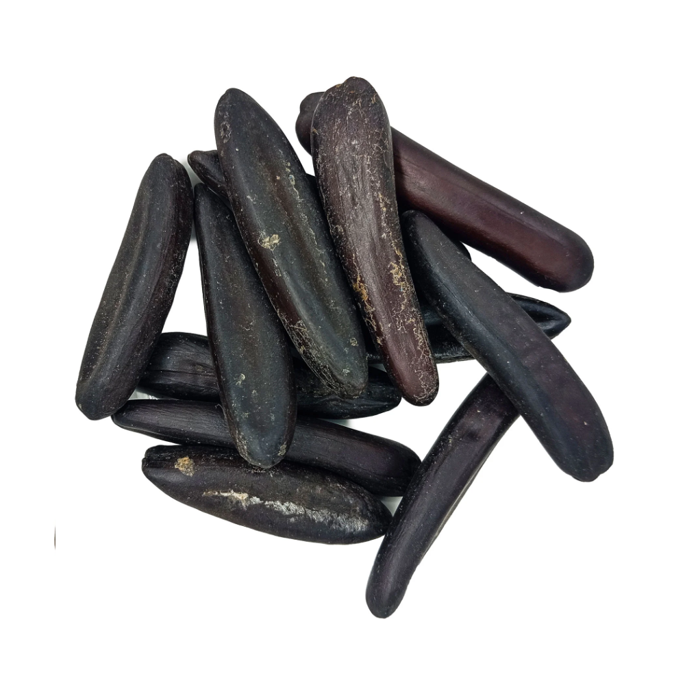 Fava Dedo De Exu Semente Ritualística 1Un - Imagem 2