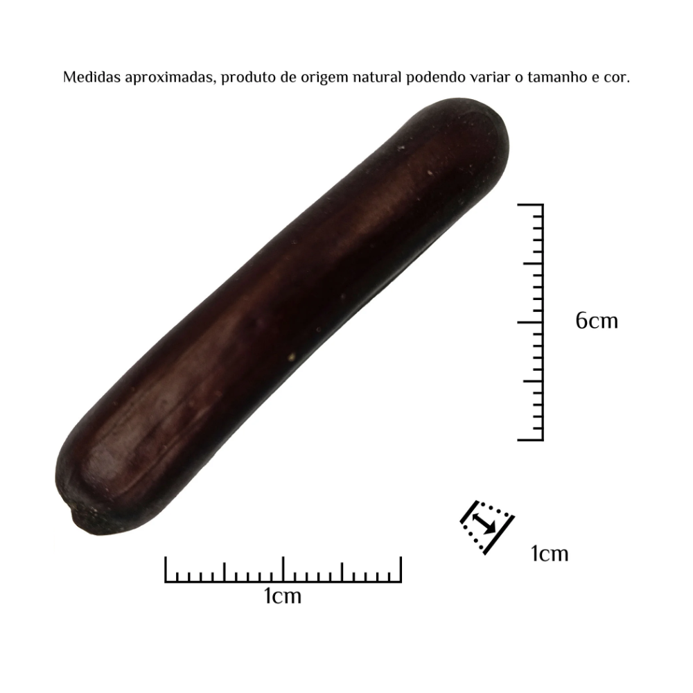 Fava Dedo De Exu Semente Ritualística 1Un - Imagem 3