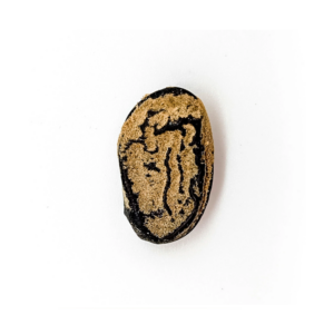 Fava Emburana Semente Ritualística