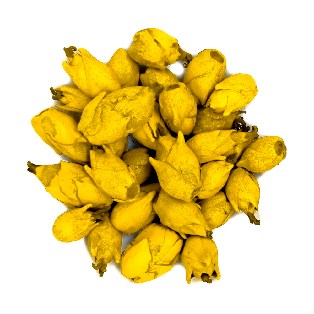 Fava Flor Amarela Semente Ritualística 1Un Pombogira - Imagem 3