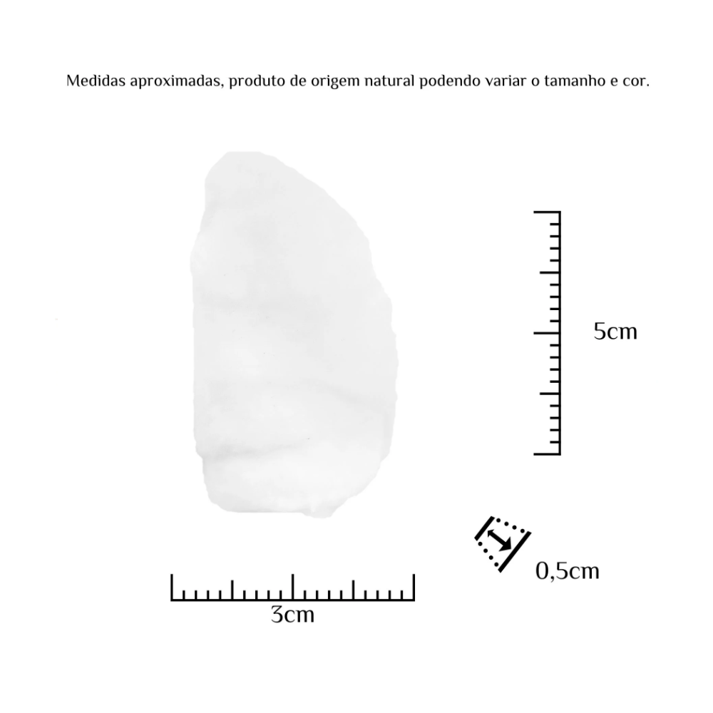 Fava Iemanjá Semente Ritualística - Imagem 3