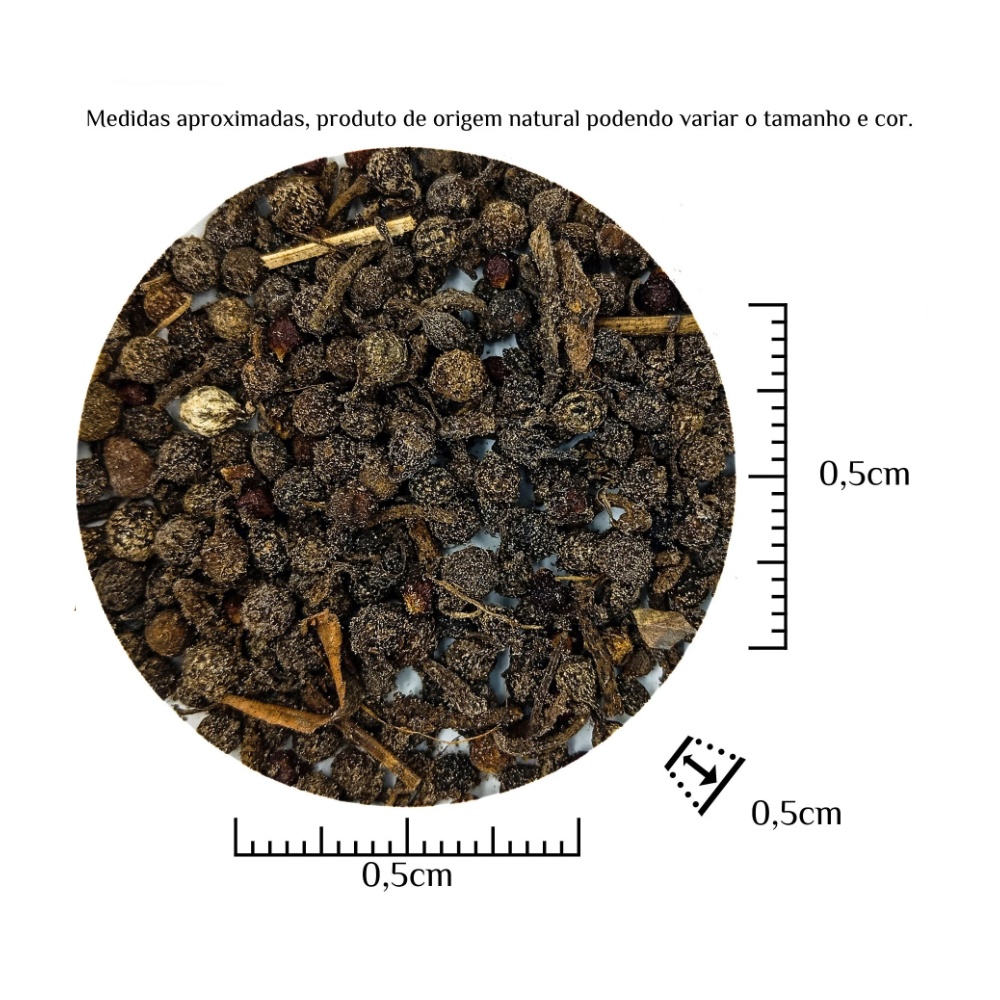 Fava Lelecum Semente Ritualistica Pacote 10G - Imagem 3