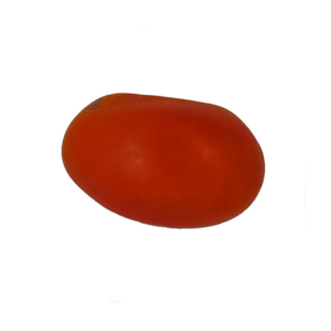 Fava Mulungu Vermelho Semente Ritualística 1Un