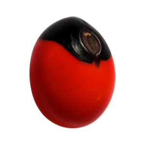 Fava Olho De Pombo Semente Ritualística