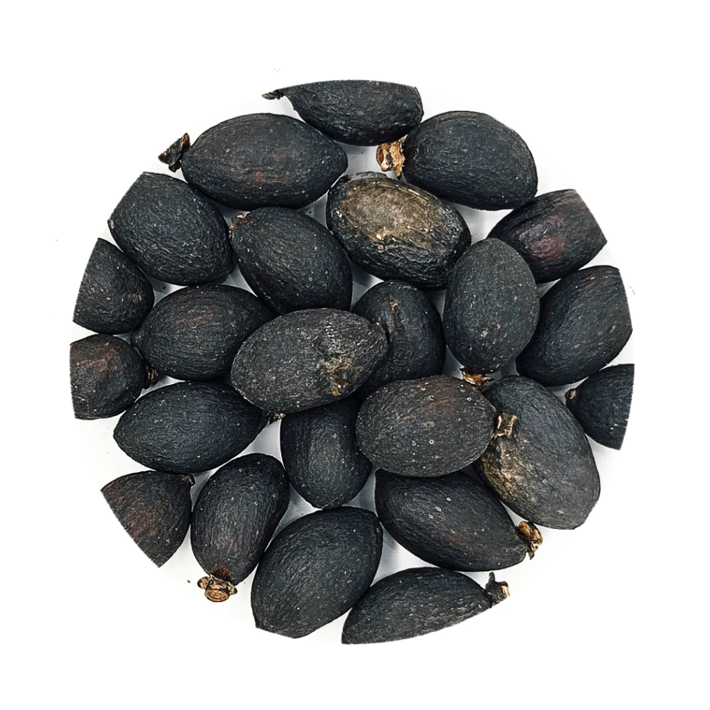 Fava Omolu Obaluae Semente Ritualística - Imagem 2
