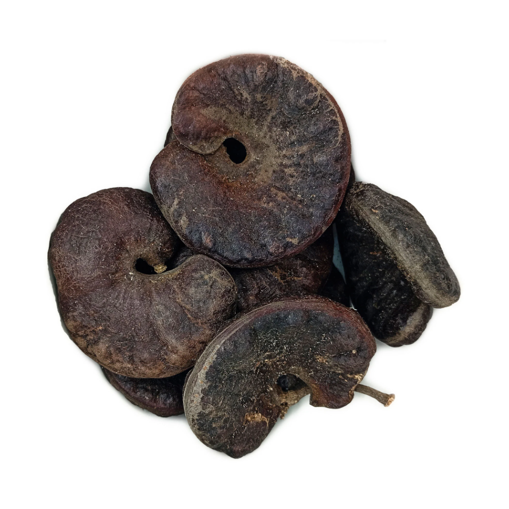Fava Orelha Ofá Semente Ritualística - Imagem 2