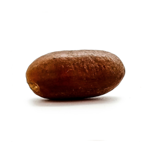 Fava Orio Semente Ritualística