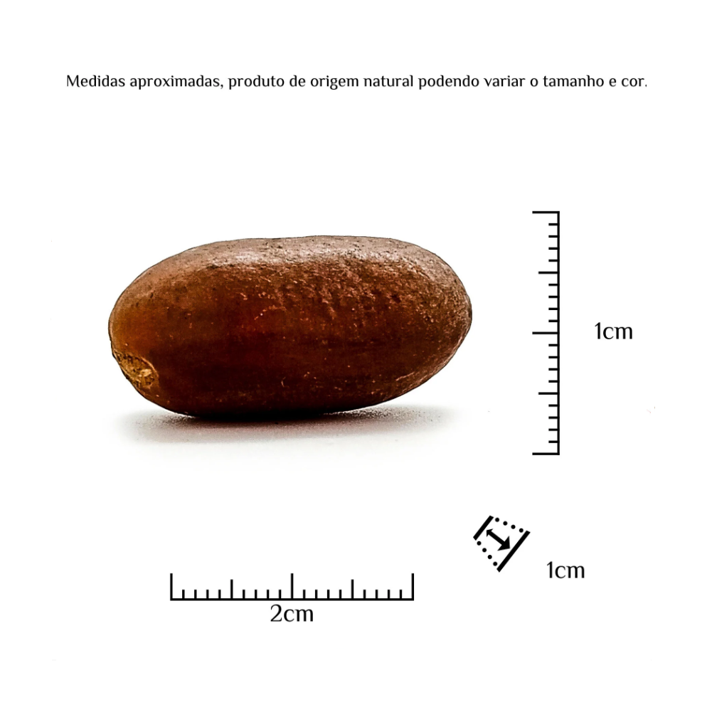 Fava Orio Semente Ritualística - Imagem 3