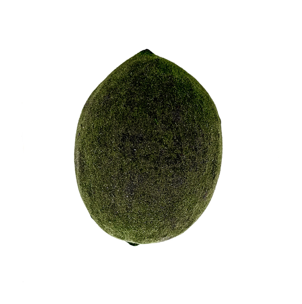 Fava Oxossi Aveludada Semente Ritualística