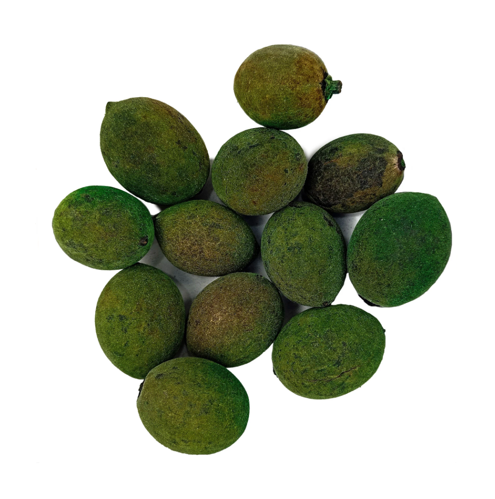 Fava Oxossi Aveludada Semente Ritualística - Imagem 2