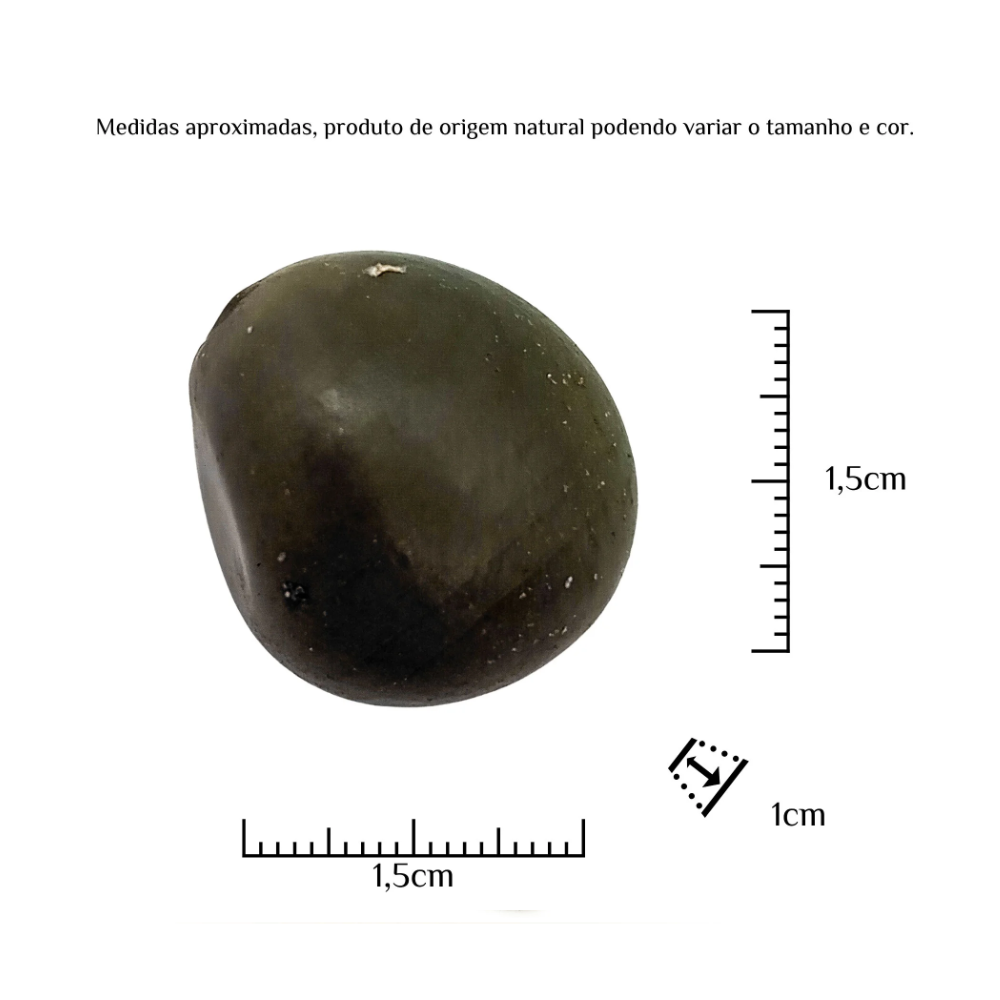 Fava Oxóssi Semente Ritualística - Imagem 3