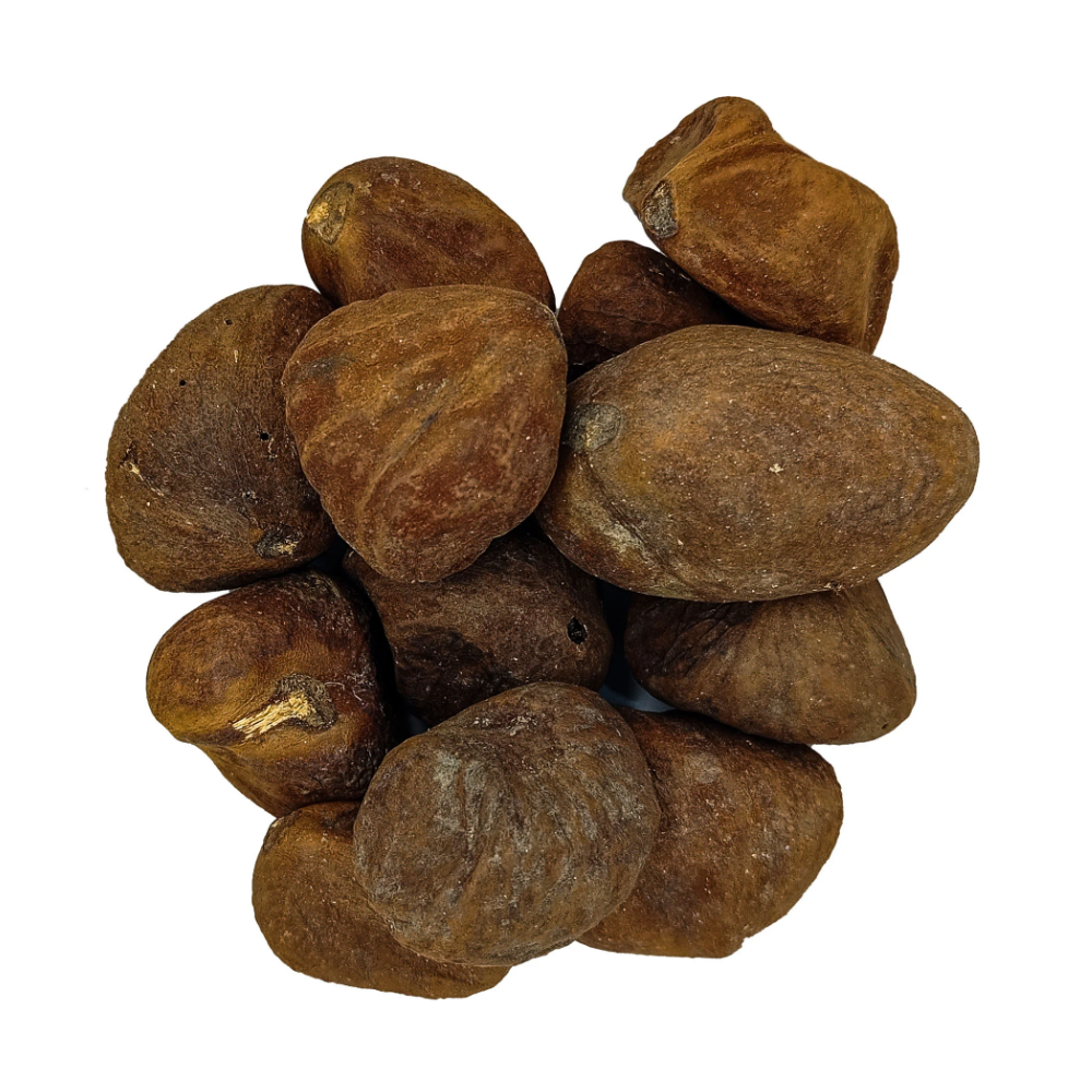 Fava Oxum Semente Ritualística - Imagem 2