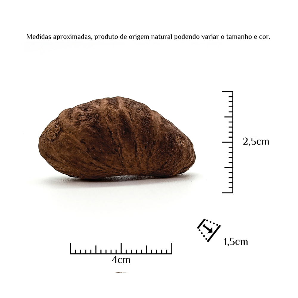 Fava Oxum Semente Ritualística - Imagem 3