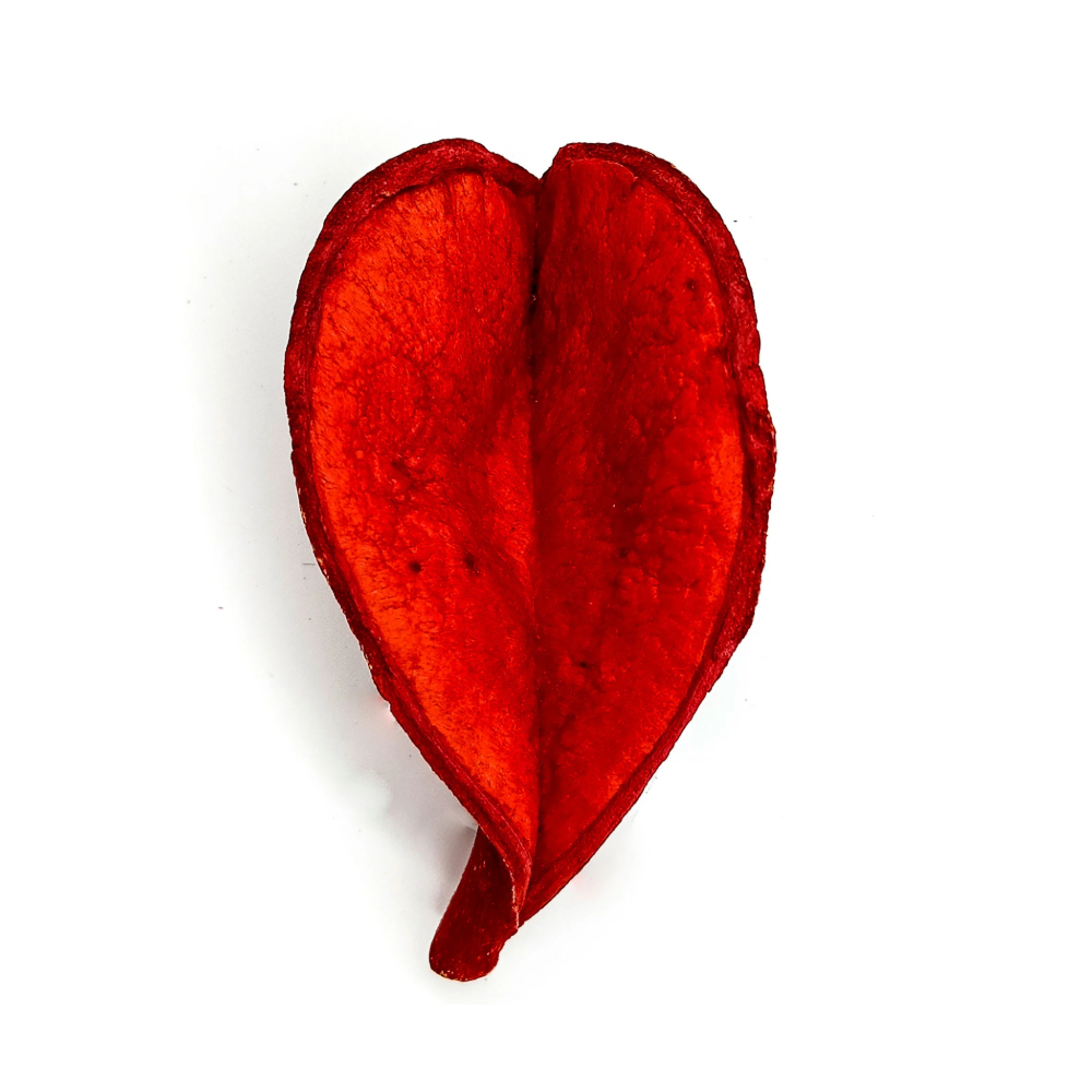 Fava Pétala de Flor Coração Vermelho Semente do Amor Ritualística Pombogira
