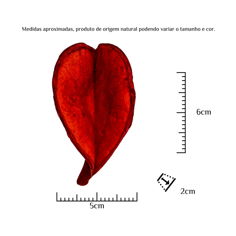 Fava Pétala de Flor Coração Vermelho Semente do Amor Ritualística Pombogira - Imagem 3