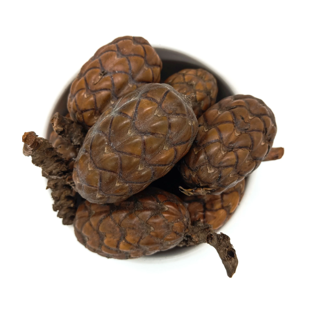 Fava Pinha Odé Semente Ritualistica 1Un Oxossi - Imagem 2