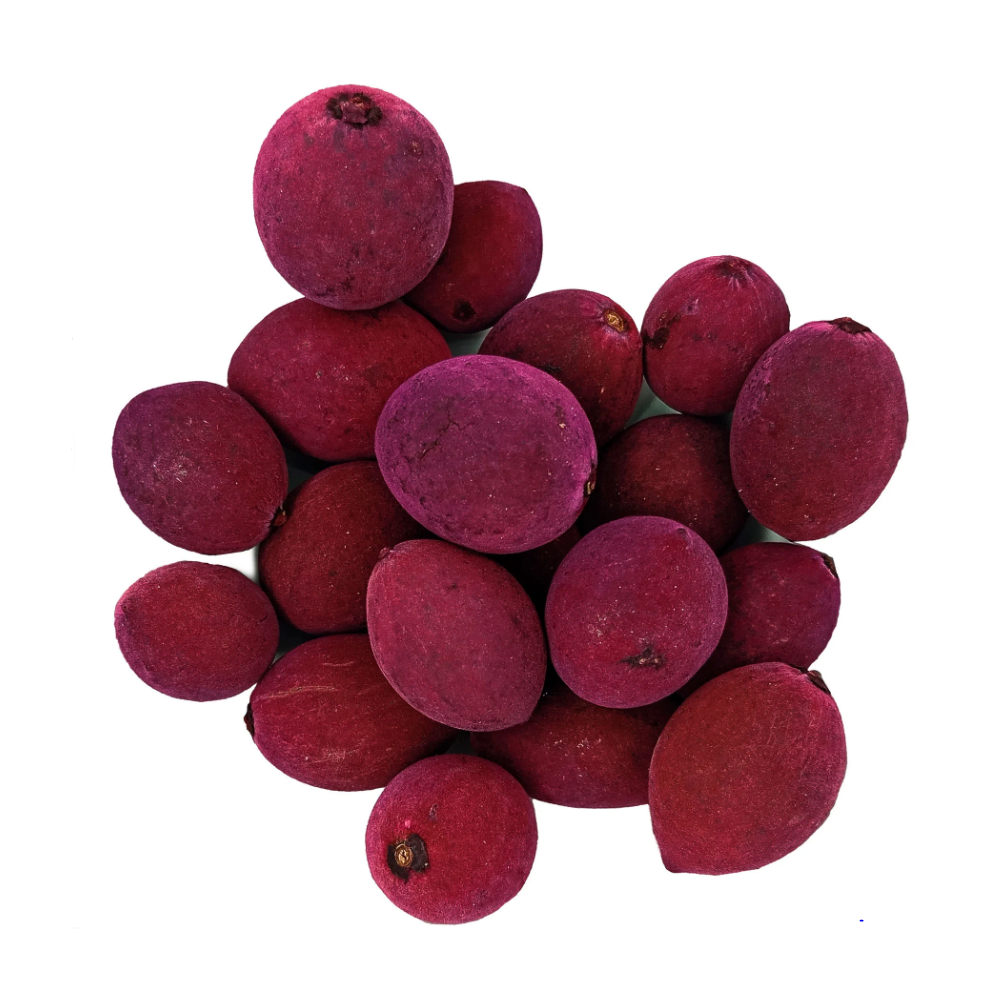 Fava Pombogira Aveludada Semente Ritualística - Imagem 2