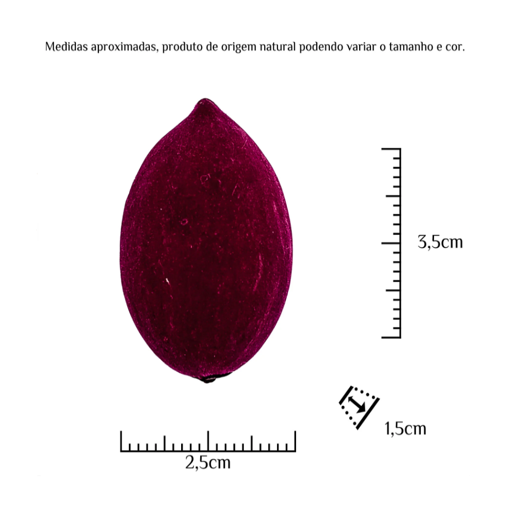 Fava Pombogira Aveludada Semente Ritualística - Imagem 3