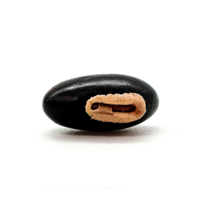 Fava Preto Velho Semente Ritualística
