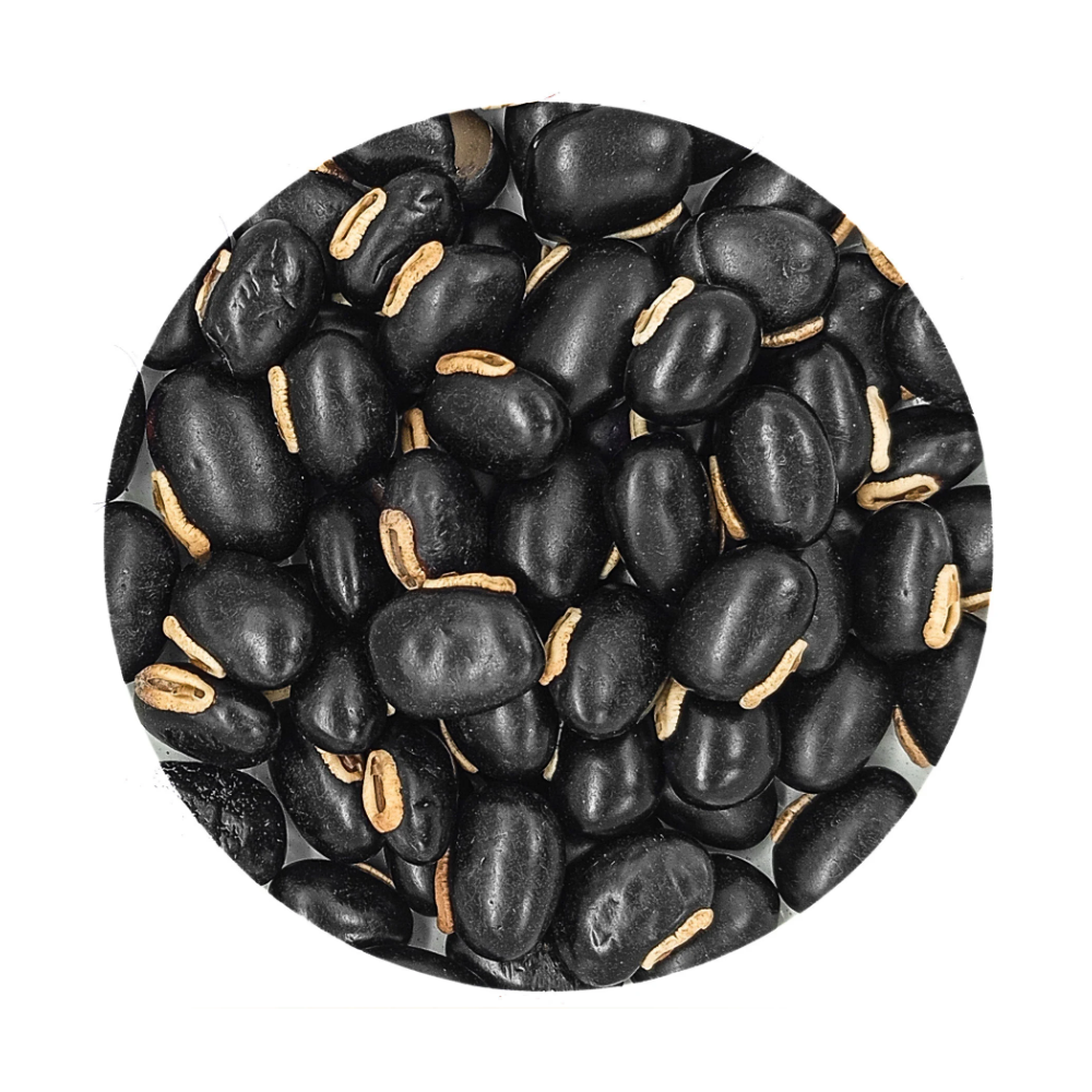 Fava Preto Velho Semente Ritualística - Imagem 2
