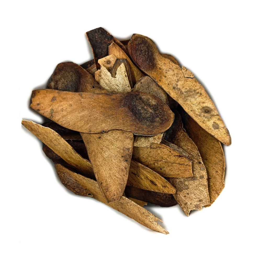 Fava Tempo Semente Ritualística - Imagem 2