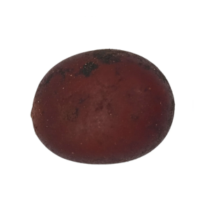 Fava Xangô Semente Ritualística 1Un