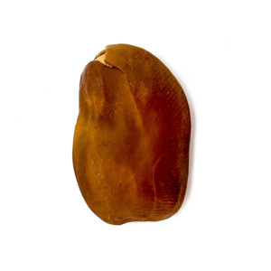 Fava da União Iansã Oyá Semente Ritualística