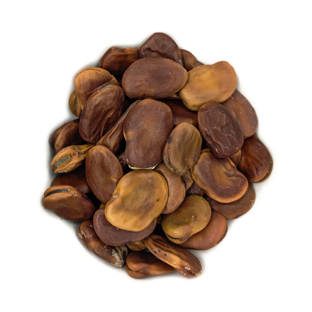 Fava da União Iansã Oyá Semente Ritualística - Imagem 2