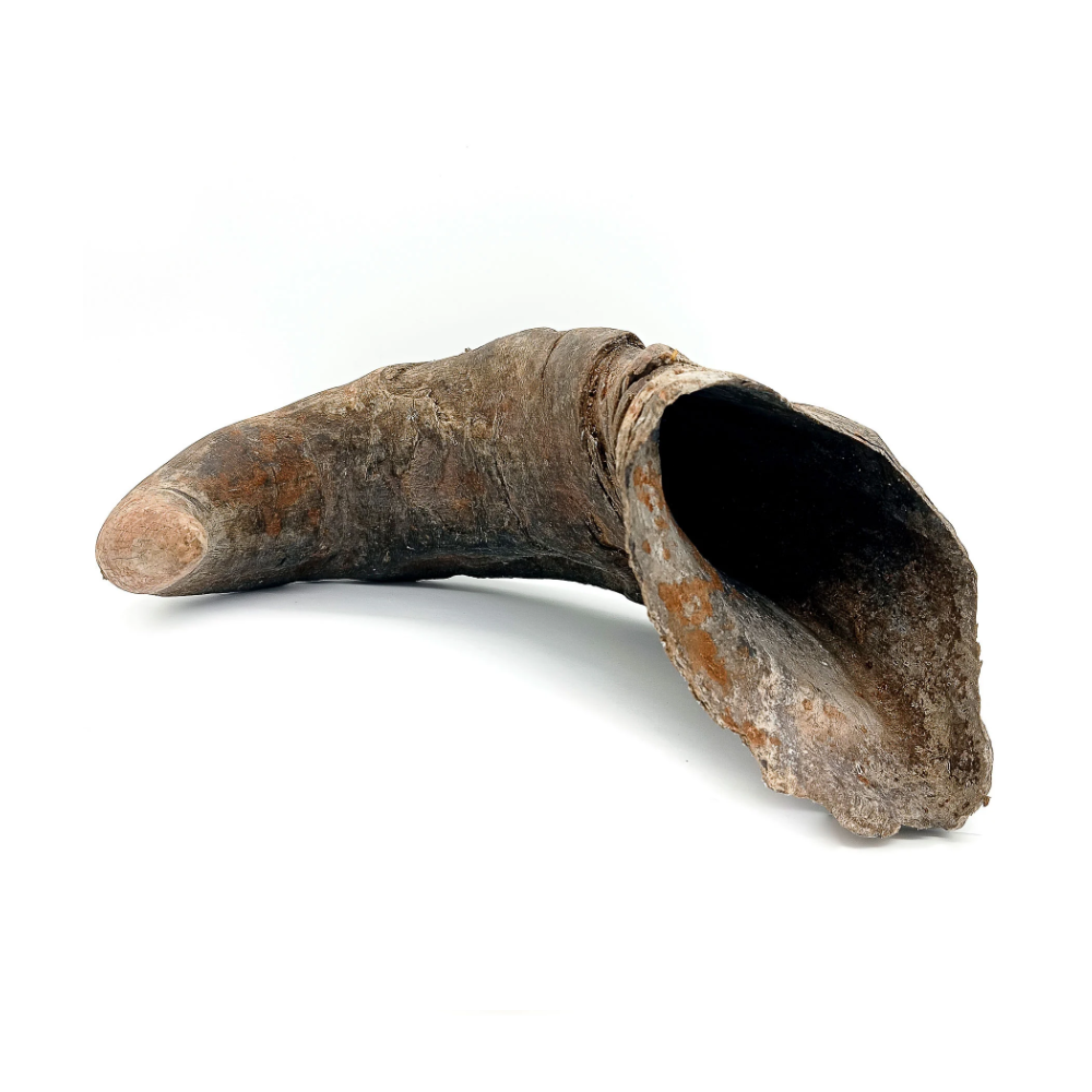 Chifre De Bufalo Bruto Natural Iansã Oyá - Imagem 3